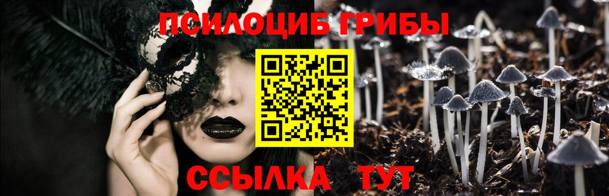 Галлюциногенные грибы Magic Shrooms  Вход с VPN  Орск 