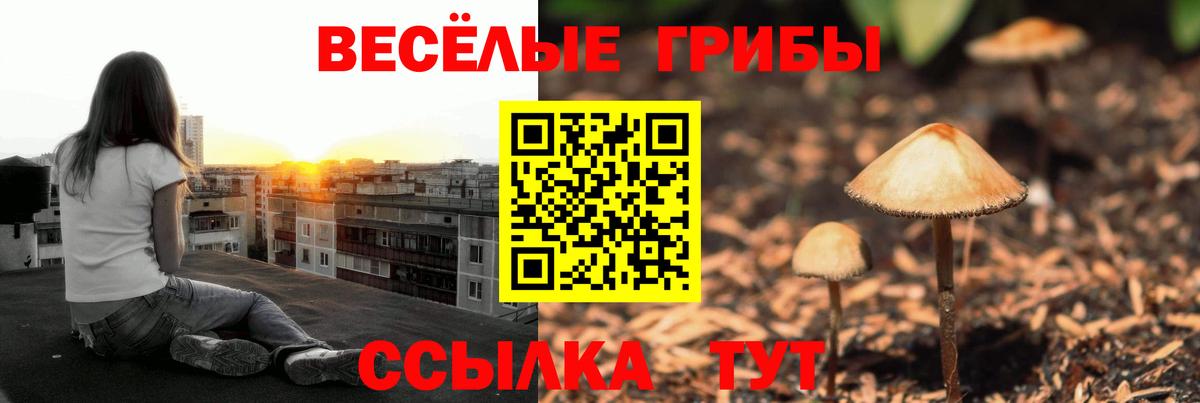 Галлюциногенные грибы прущие грибы Орск